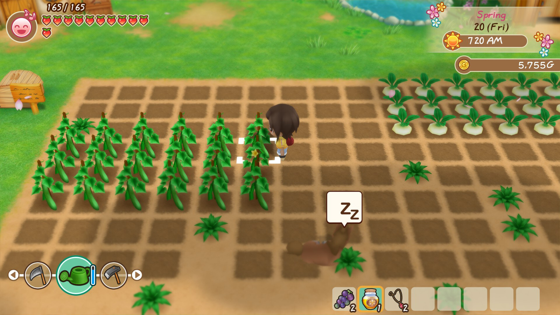 Story Of Seasons Friends Of Mineral Town Tips And Tricks For